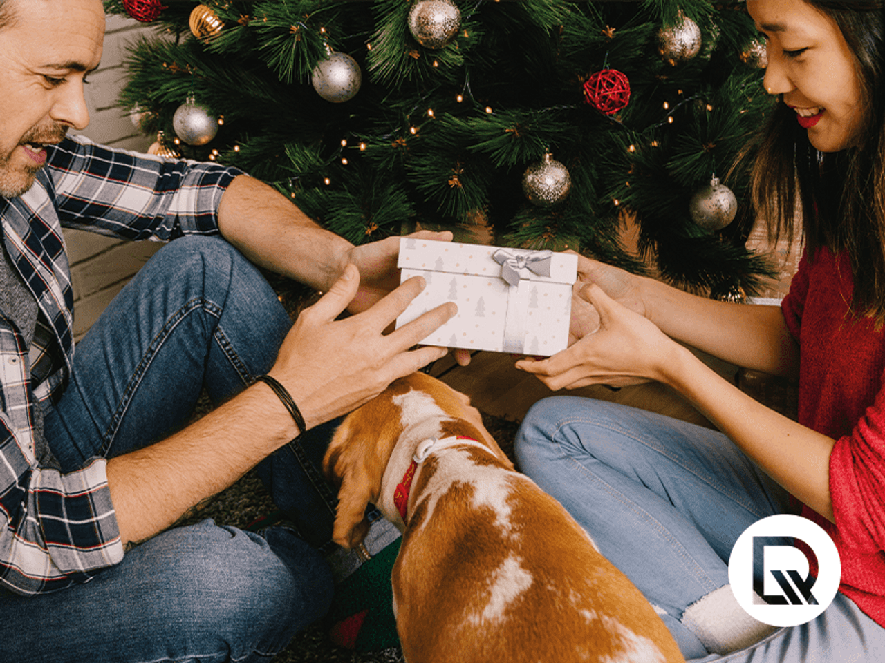 casal trocando presentes sob árvore de natal